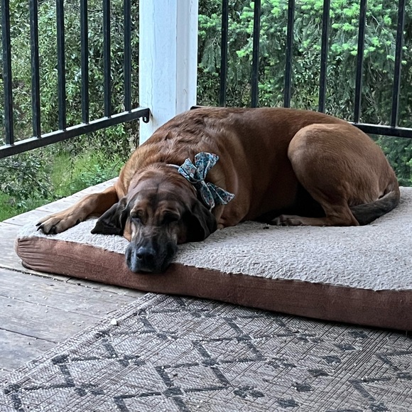 Meet your Posher, April - Picture 3 of 4